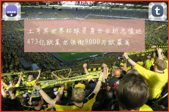 土耳其世界杯球员身价分析总值达473亿欧莱尔领衔9000万欧最高